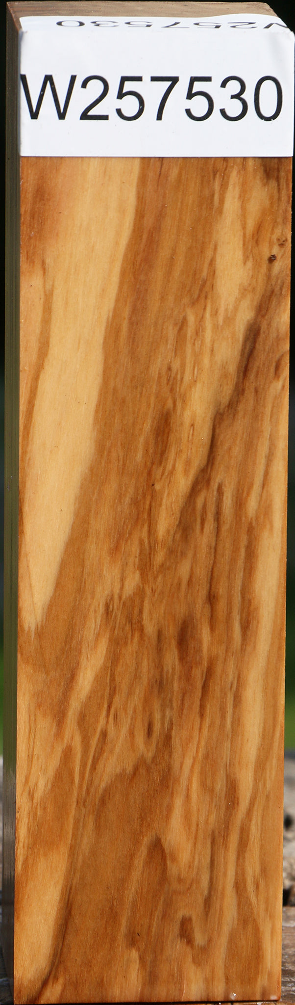 Italian Olive Turning Square