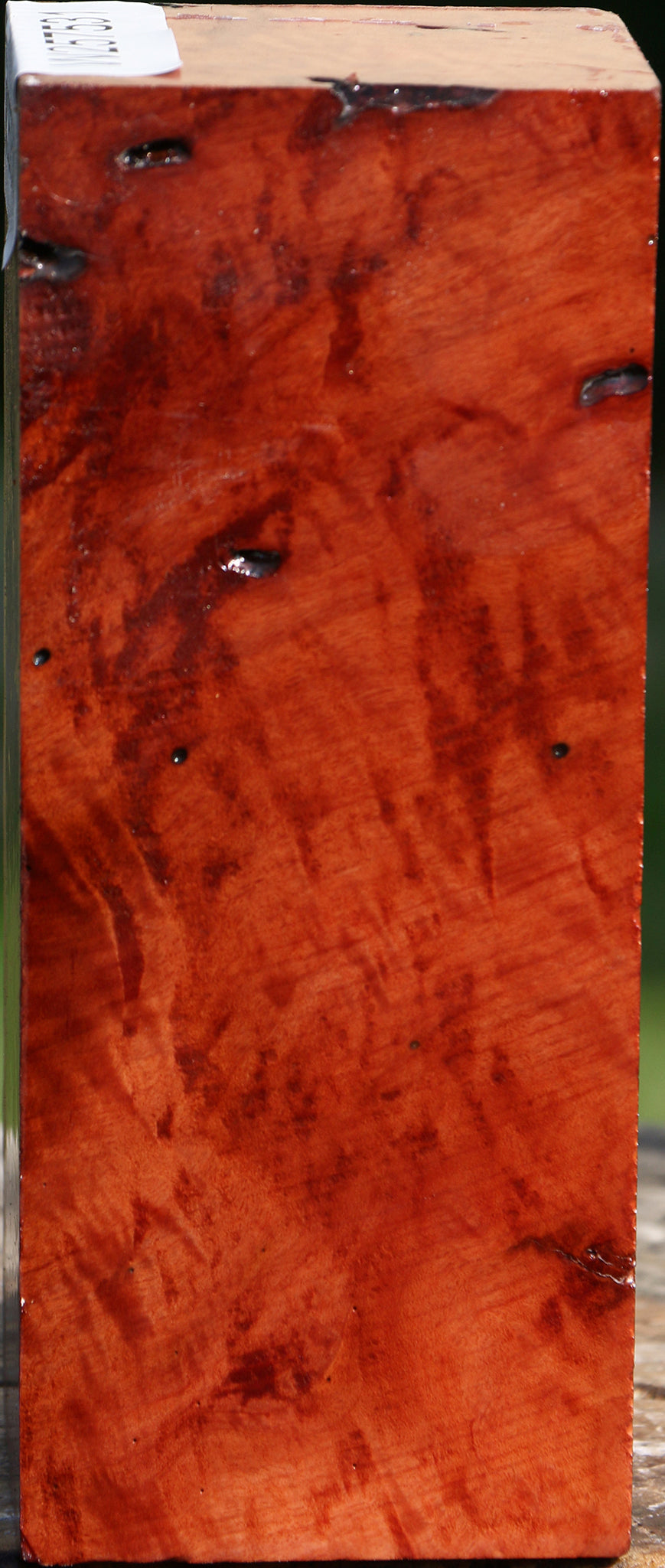 Red Coolibah Turning Square