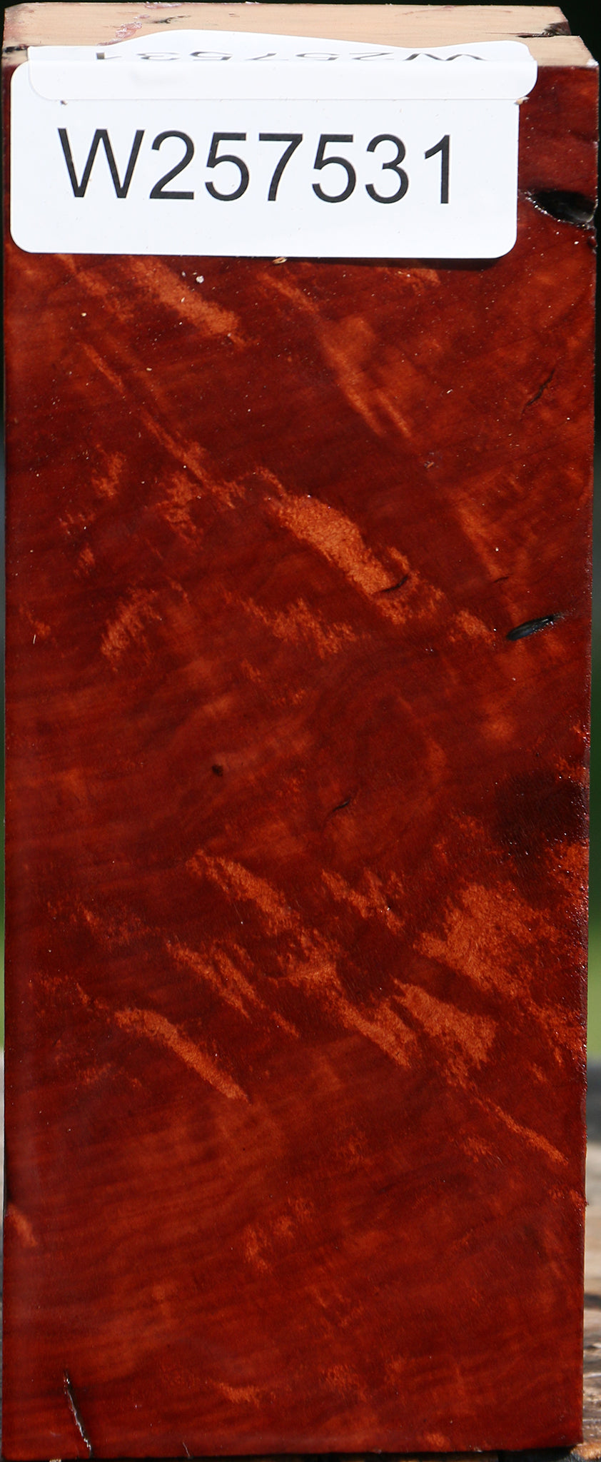 Red Coolibah Turning Square
