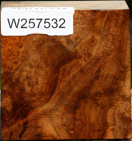 Teak Burl Bowl Blank