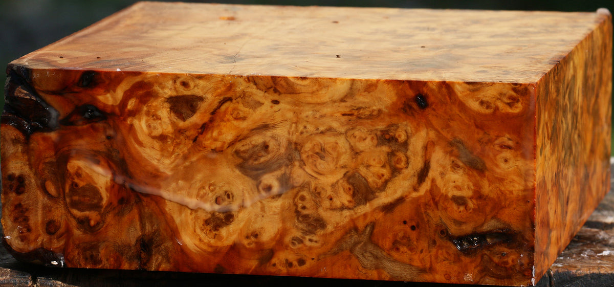 Pernambuco Burl Bowl Blank