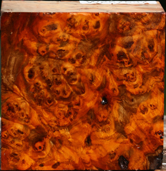 Pernambuco Burl Bowl Blank