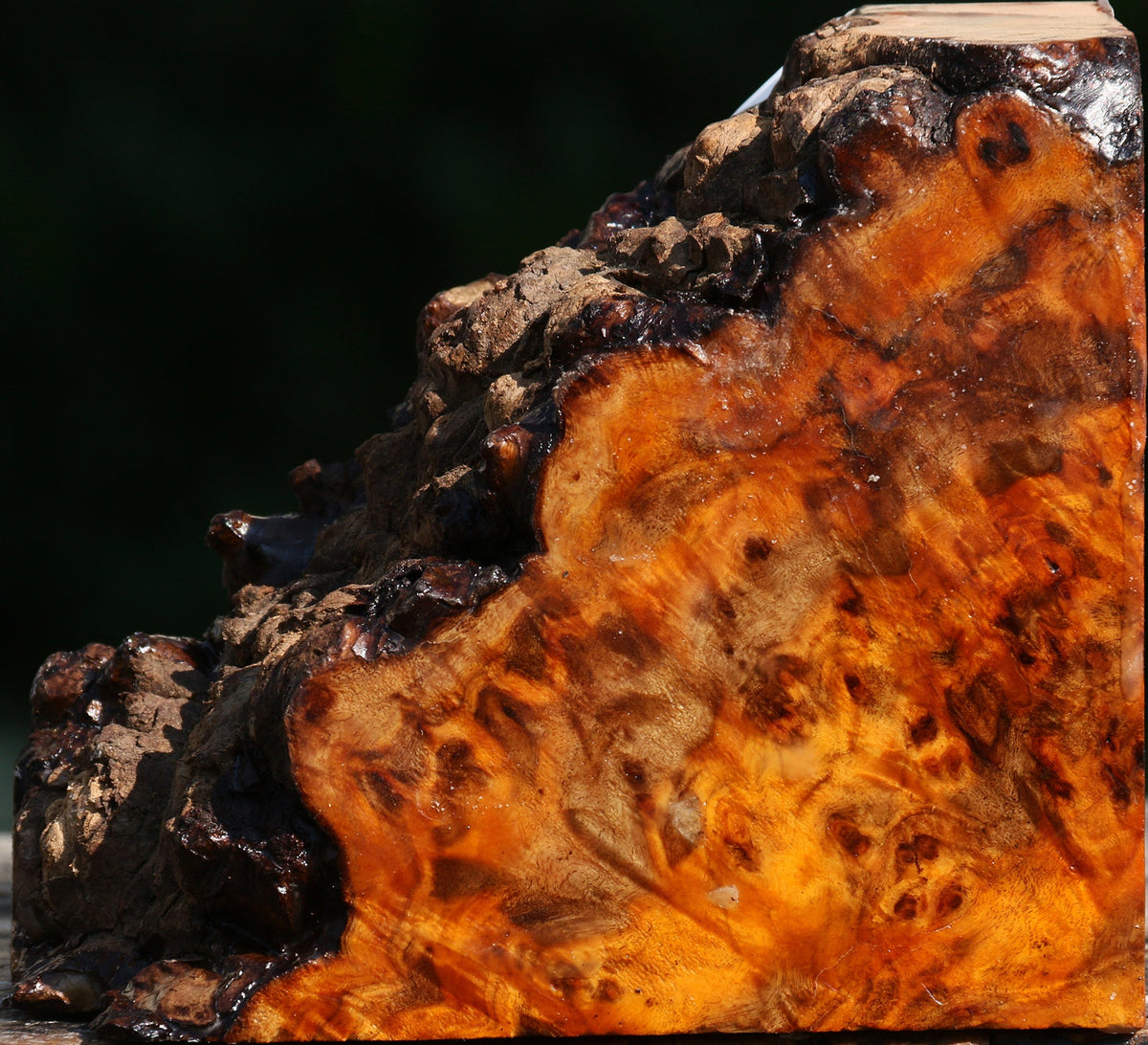 Pernambuco Burl Live Edge Turning Blank