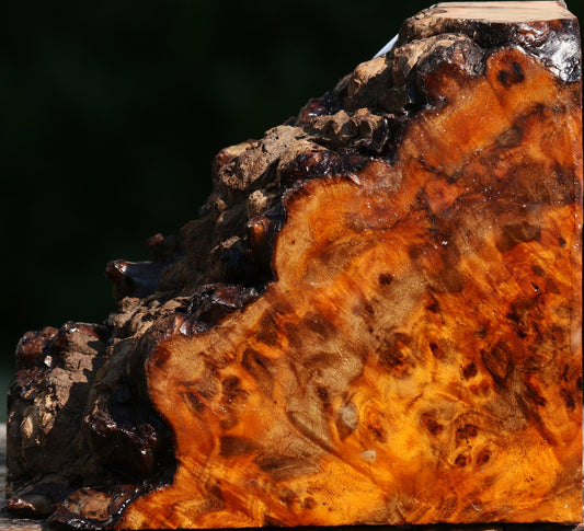 Pernambuco Burl Live Edge Turning Blank