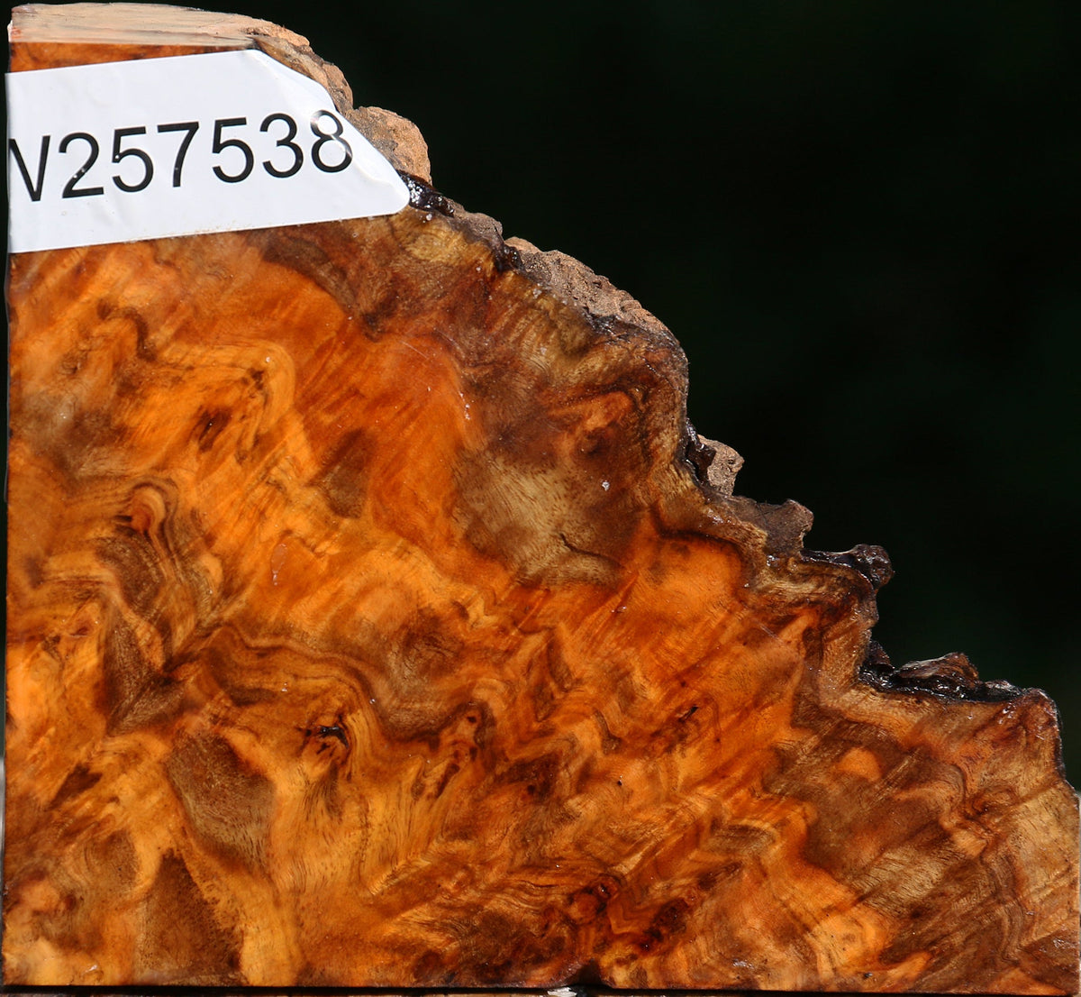 Pernambuco Burl Live Edge Turning Blank
