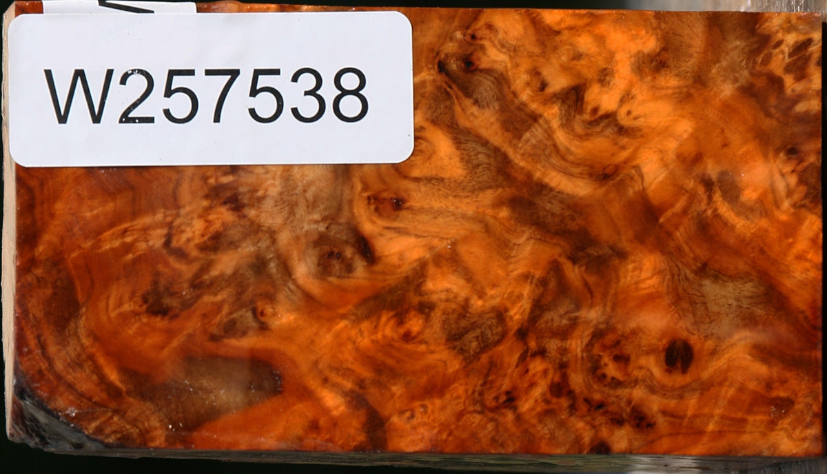 Pernambuco Burl Live Edge Turning Blank