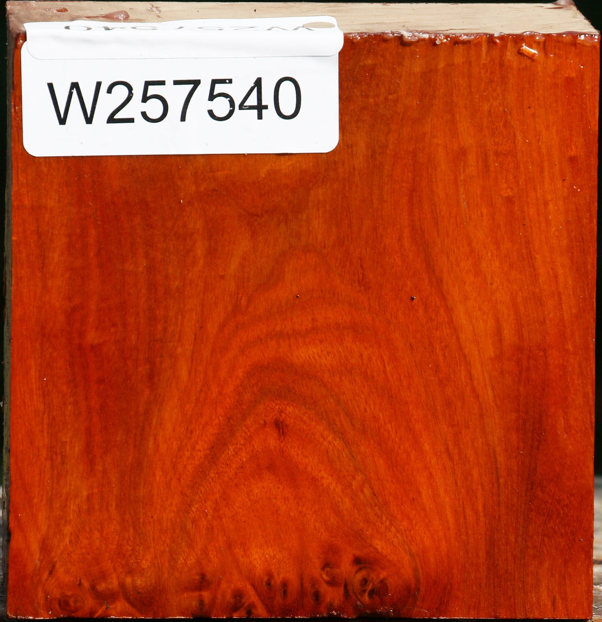 Pernambuco Bowl Blank