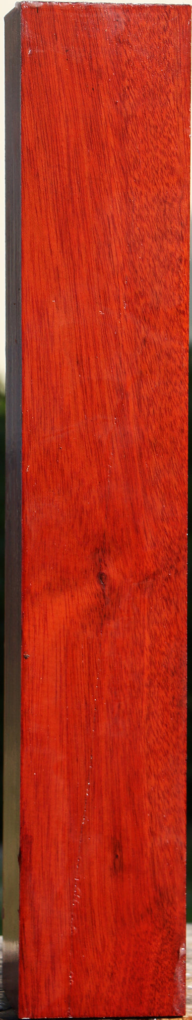 Bloodwood Peppermill