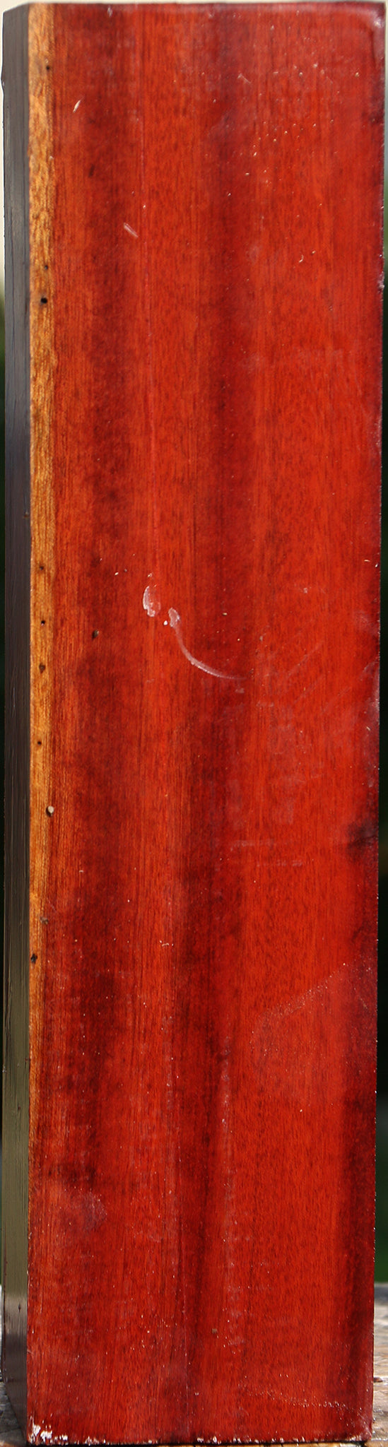 Bloodwood Peppermill