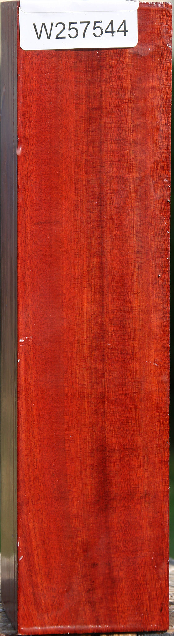 Bloodwood Peppermill