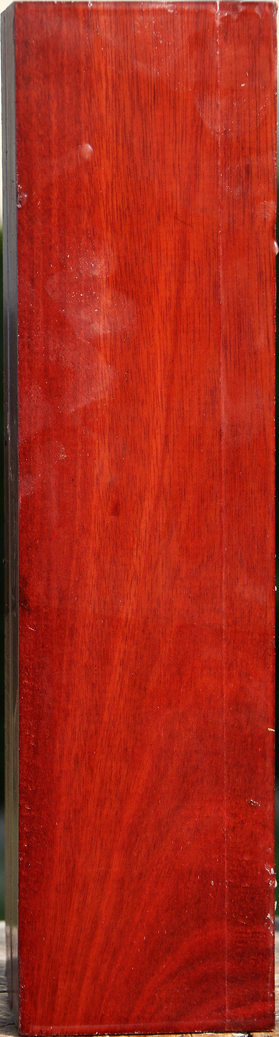 Bloodwood Peppermill