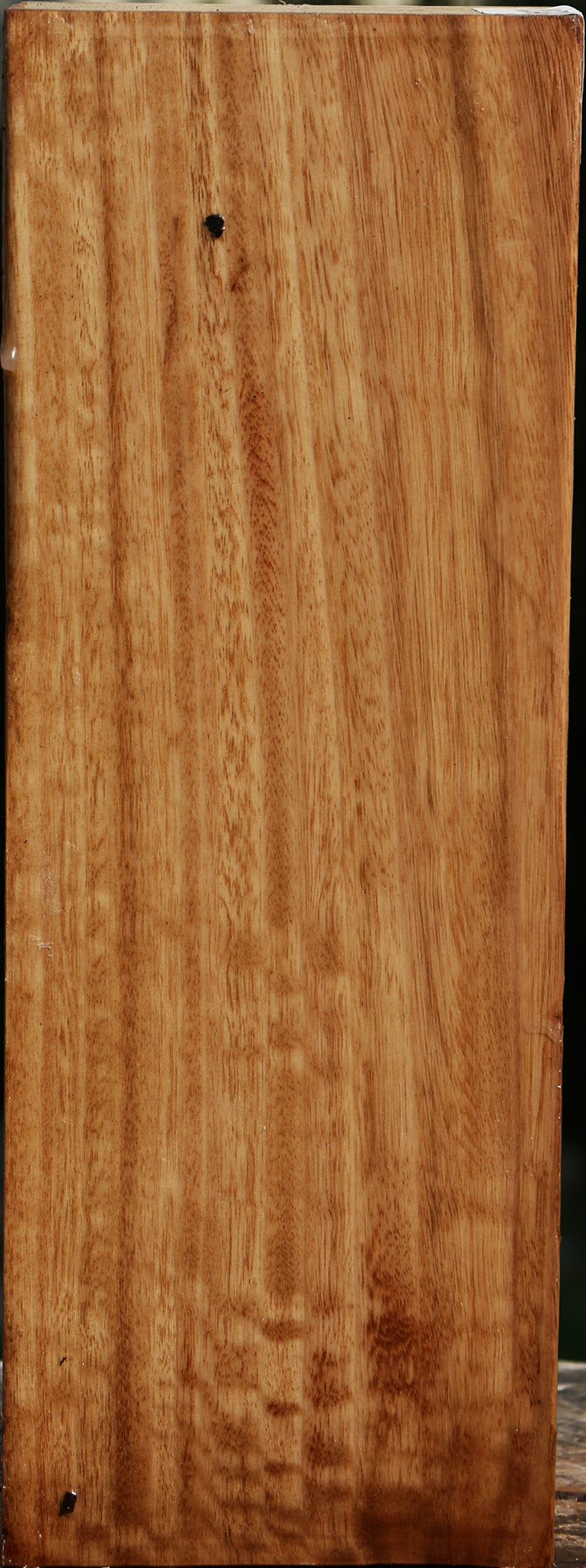 Eucalyptus Vessel Blank
