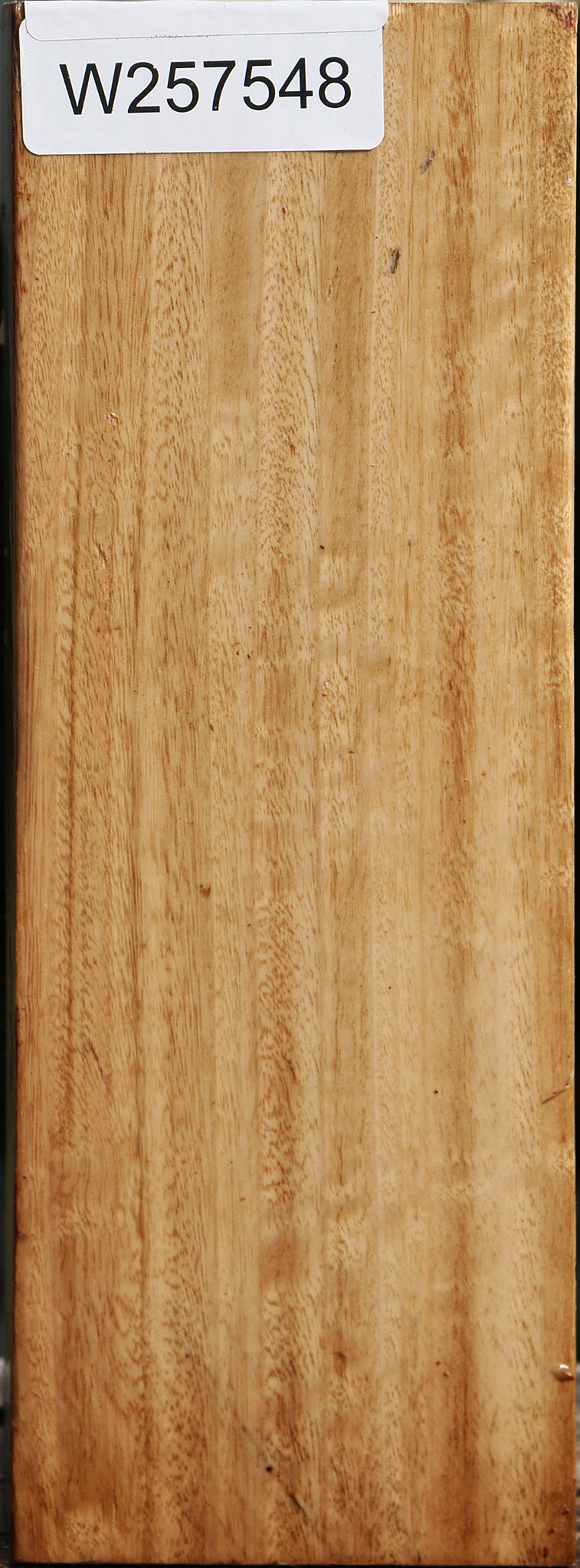 Eucalyptus Vessel Blank