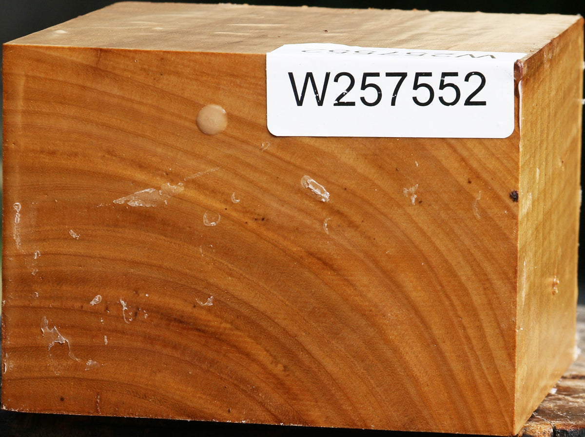 Eucalyptus Bowl Blank