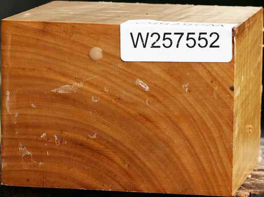 Eucalyptus Bowl Blank