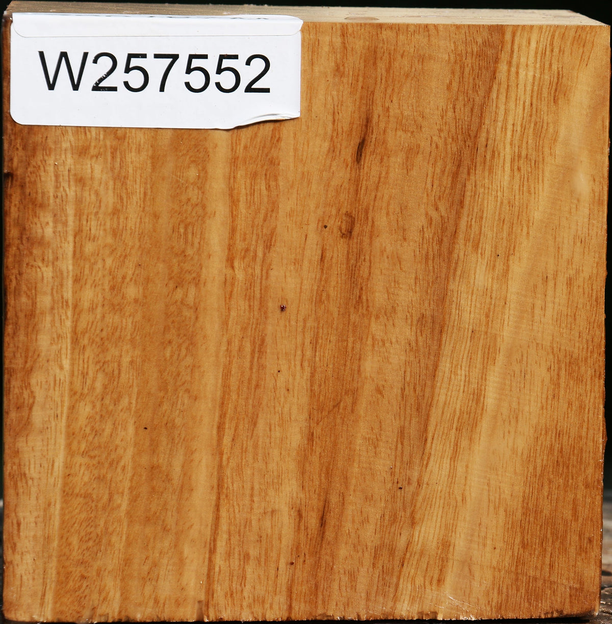 Eucalyptus Bowl Blank
