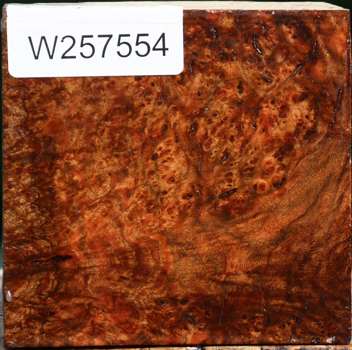 Chechen Burl Live Edge Bowl Blank