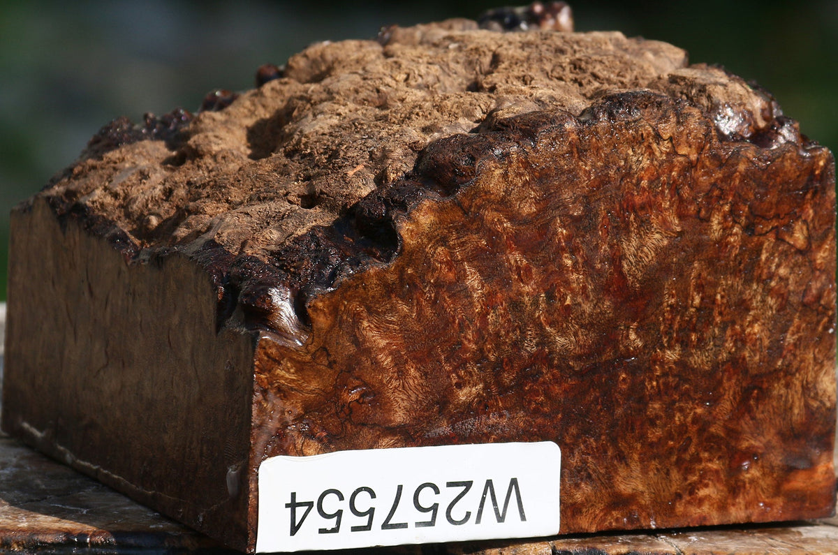 Chechen Burl Live Edge Bowl Blank