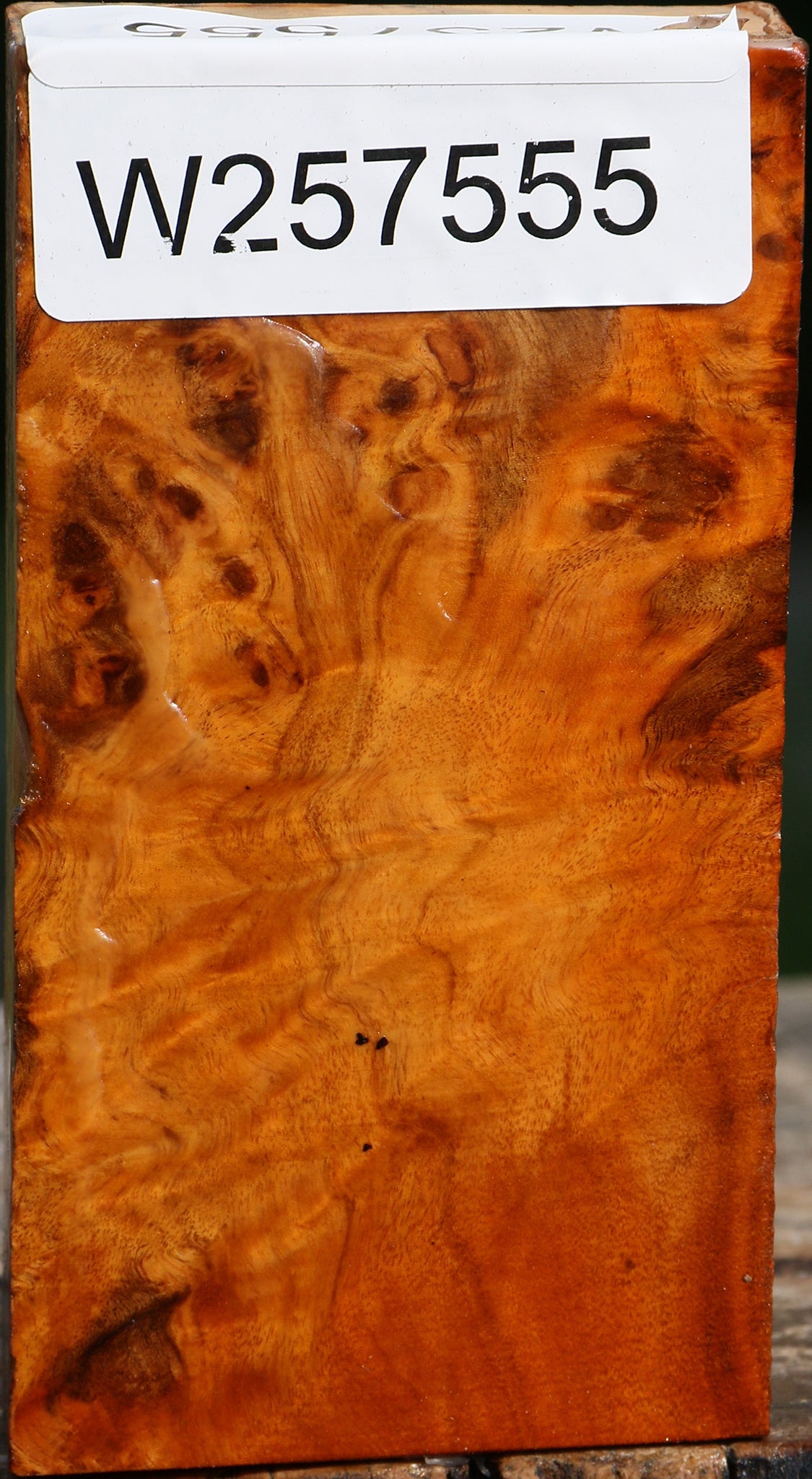Pernambuco Burl Turning Blank