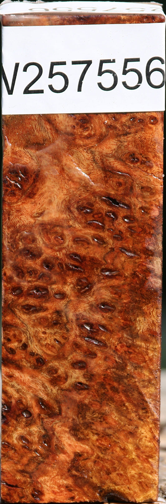 Chechen Burl Turning Square