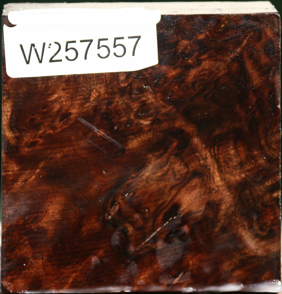 Claro Walnut Burl Bowl Blank