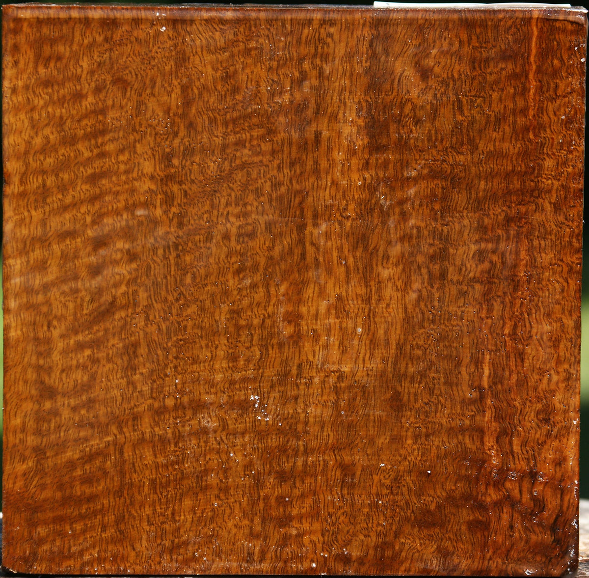 Exhibition Mirindiba Bowl Blank