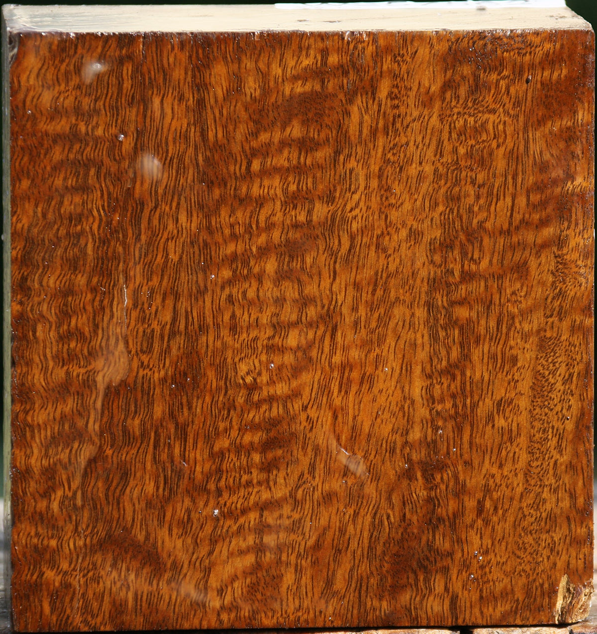 Exhibition Mirindiba Bowl Blank