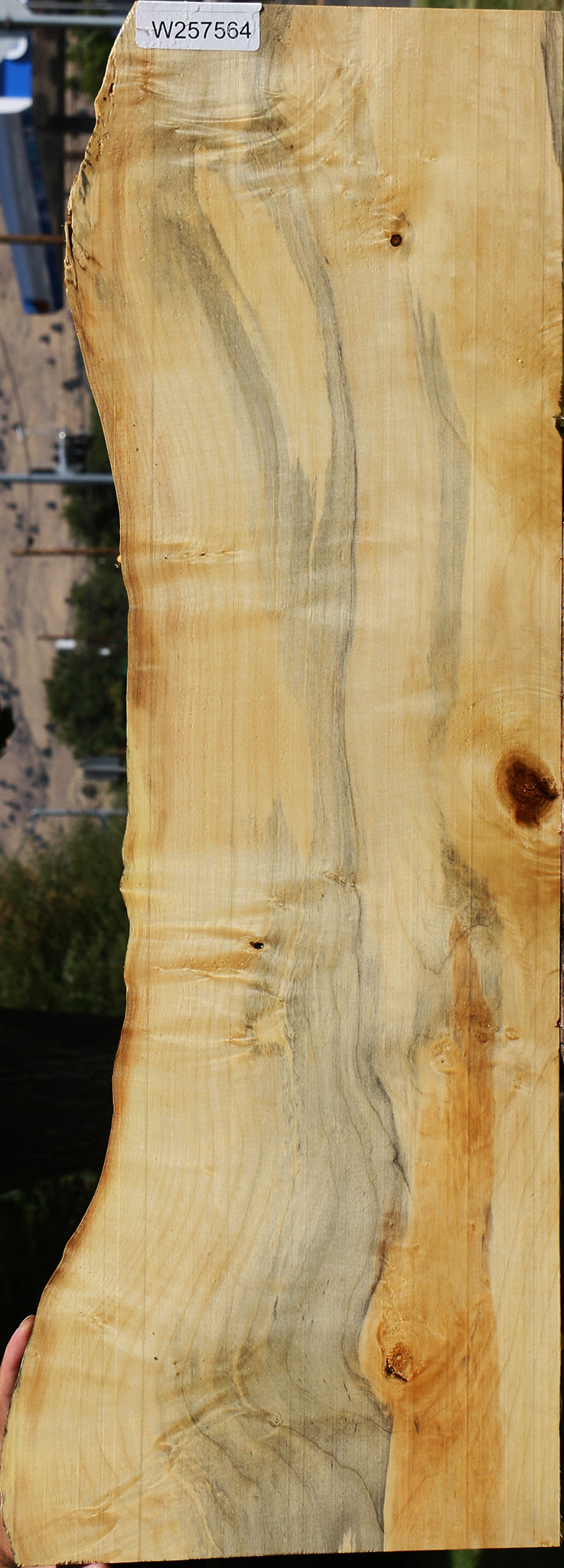 Figured Box Elder Live Edge Lumber