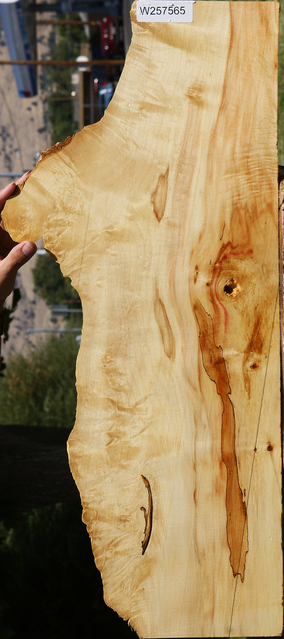 Figured Box Elder Live Edge Lumber