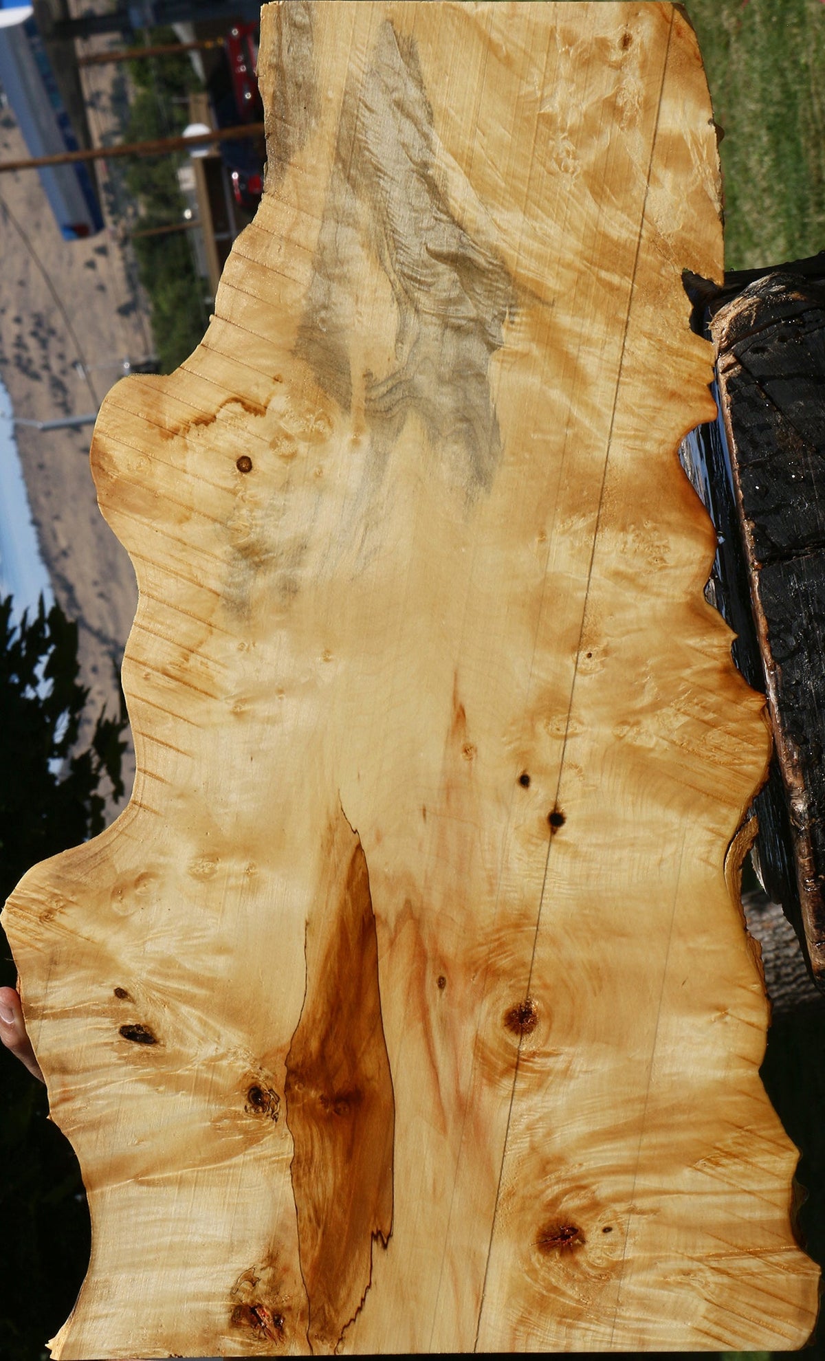 Extra Fancy Box Elder Live Edge Lumber