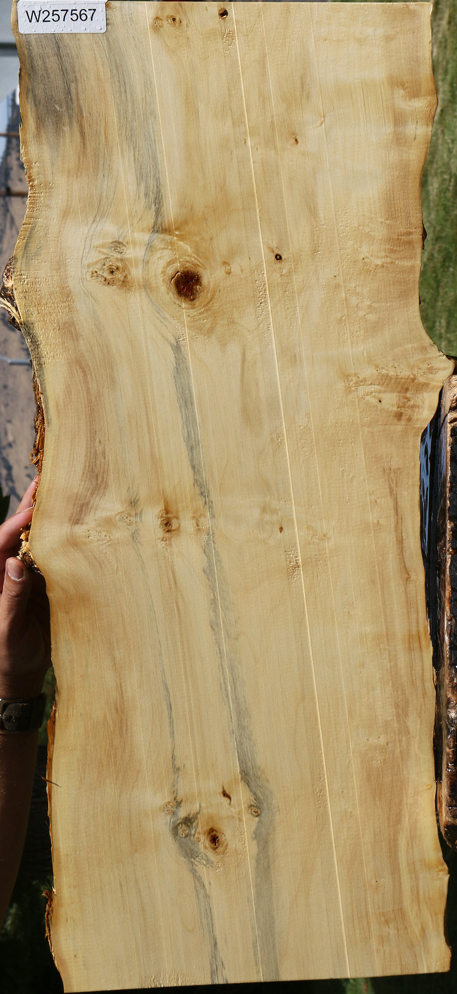 Figured Box Elder Live Edge Lumber