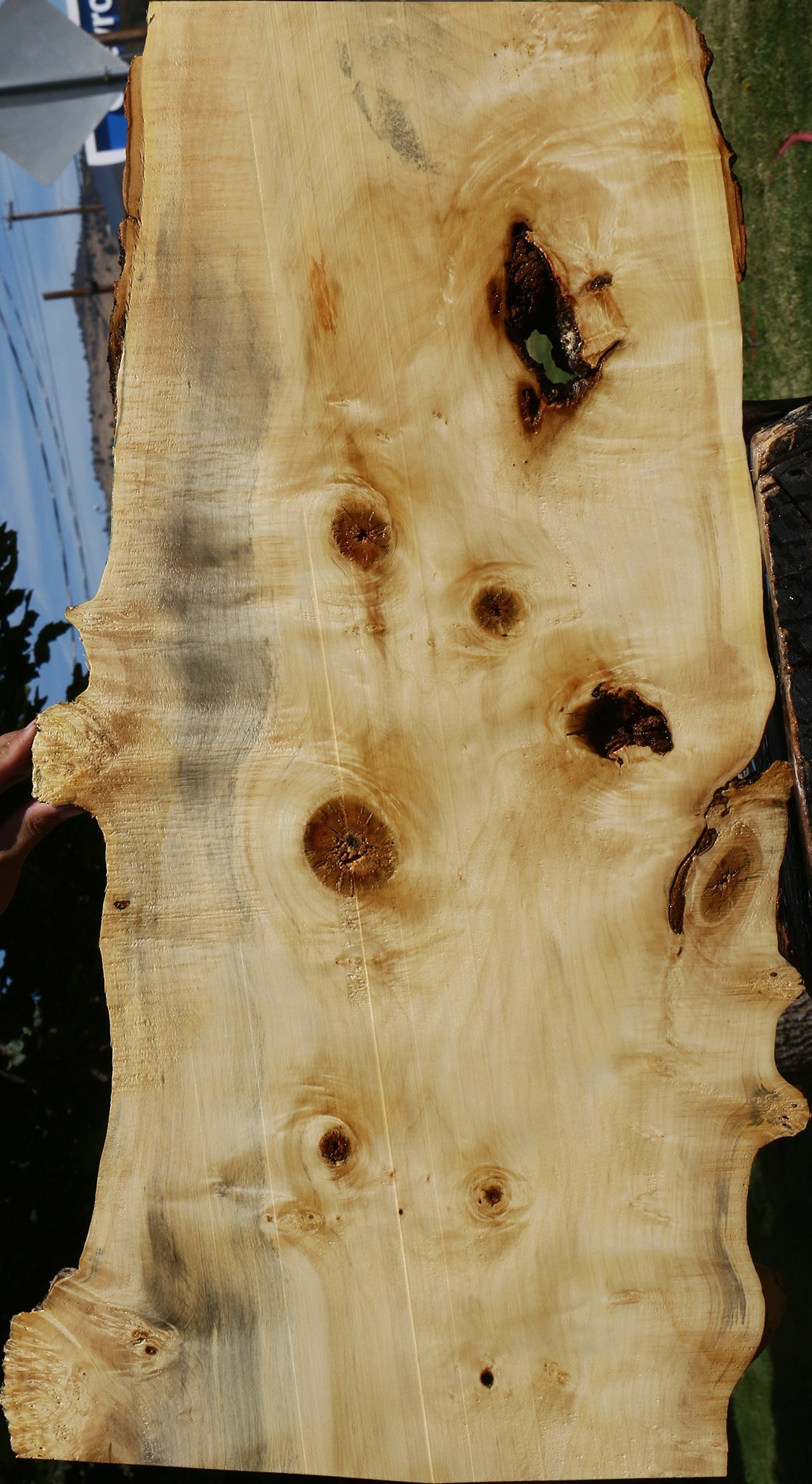 Figured Rustic Box Elder Live Edge Lumber