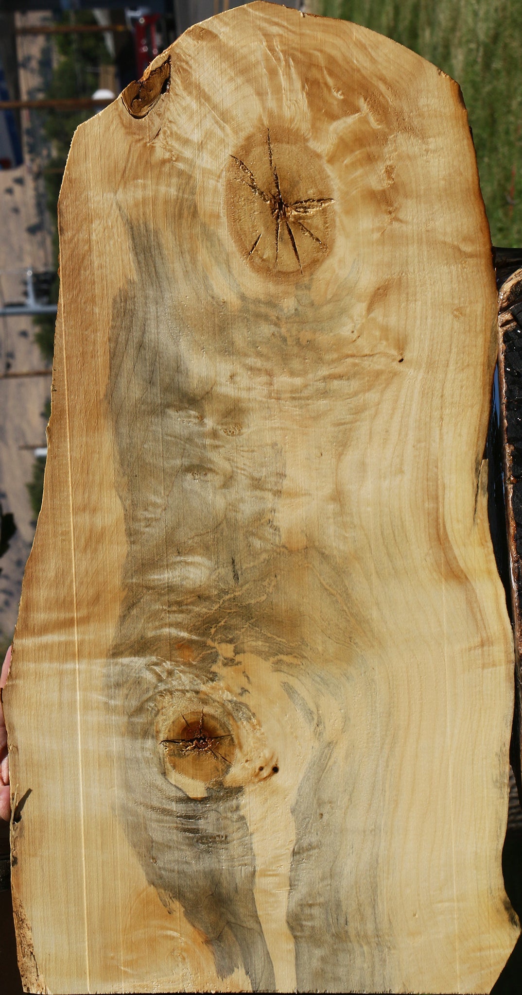 Figured Box Elder Live Edge Lumber