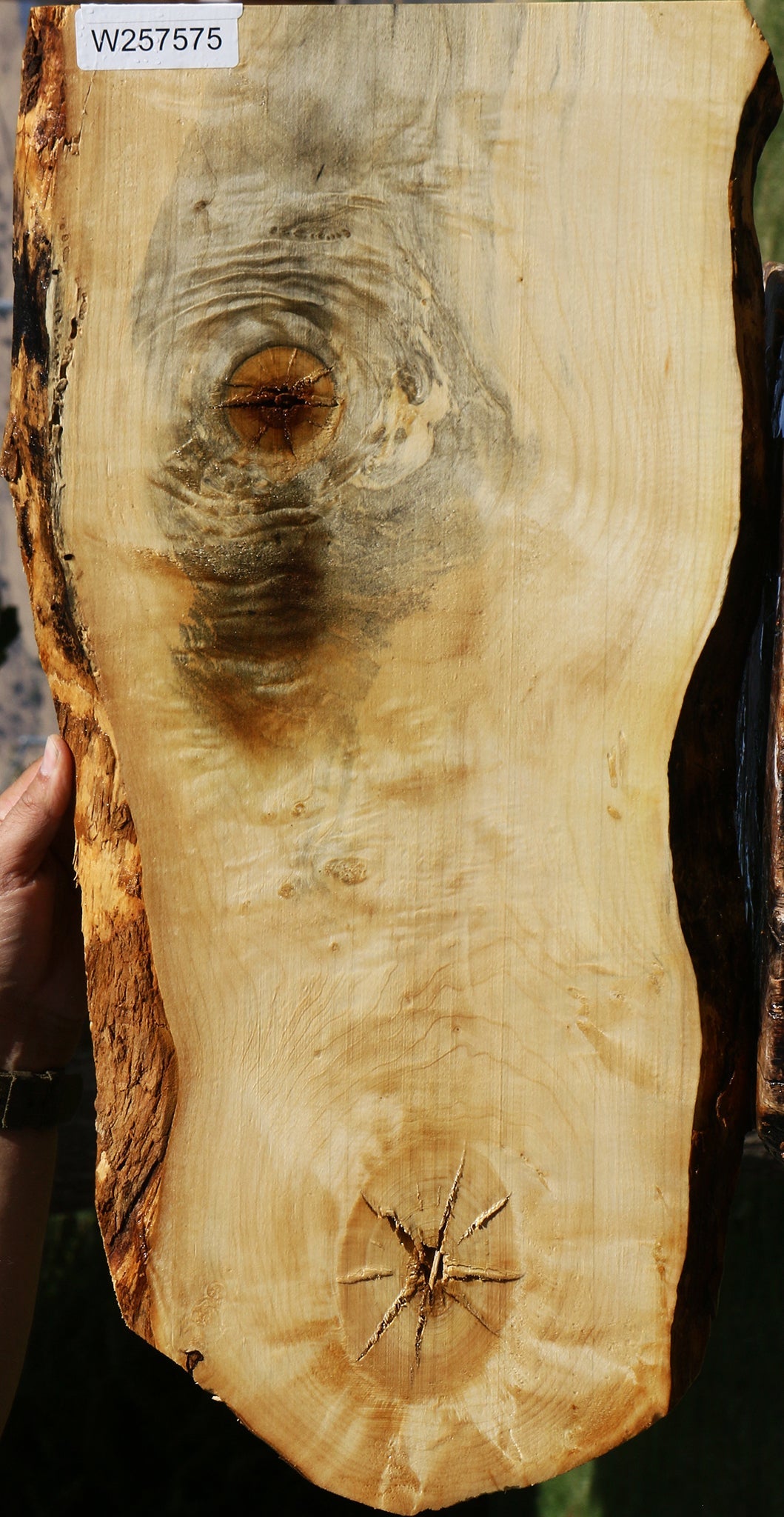 Figured Box Elder Live Edge Lumber