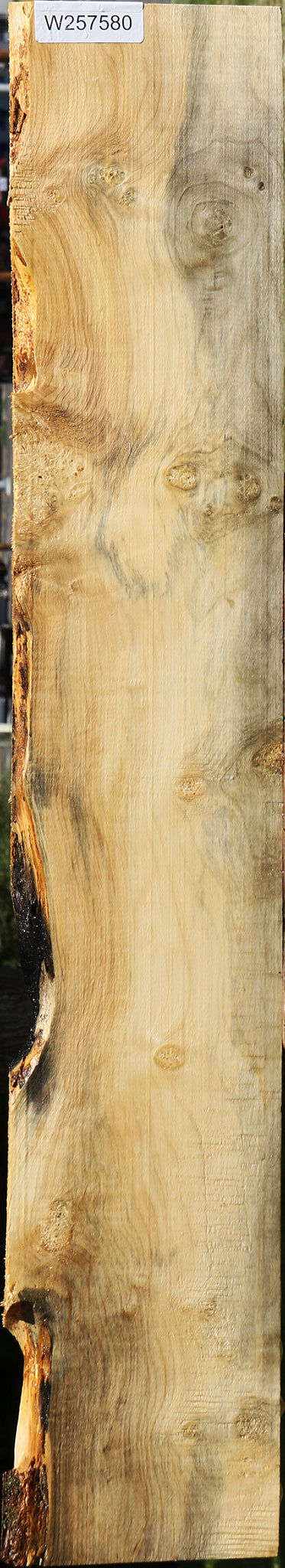 Figured Box Elder Lumber