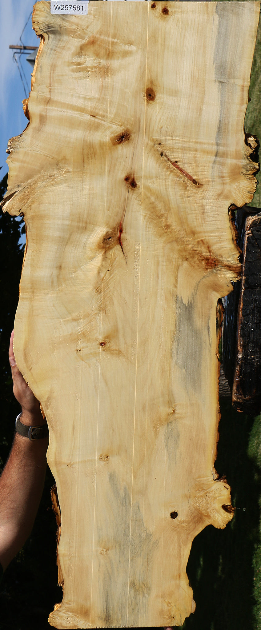 Rustic Box Elder Live Edge Lumber