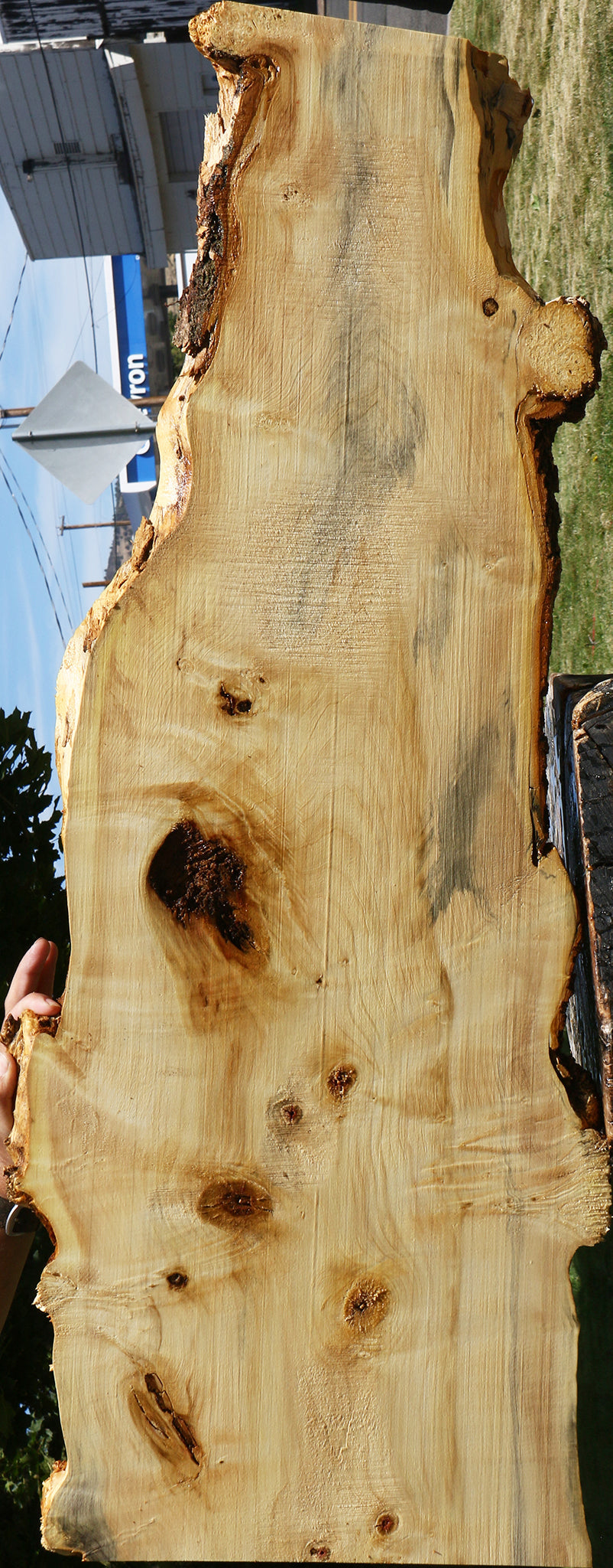 Rustic Box Elder Live Edge Lumber