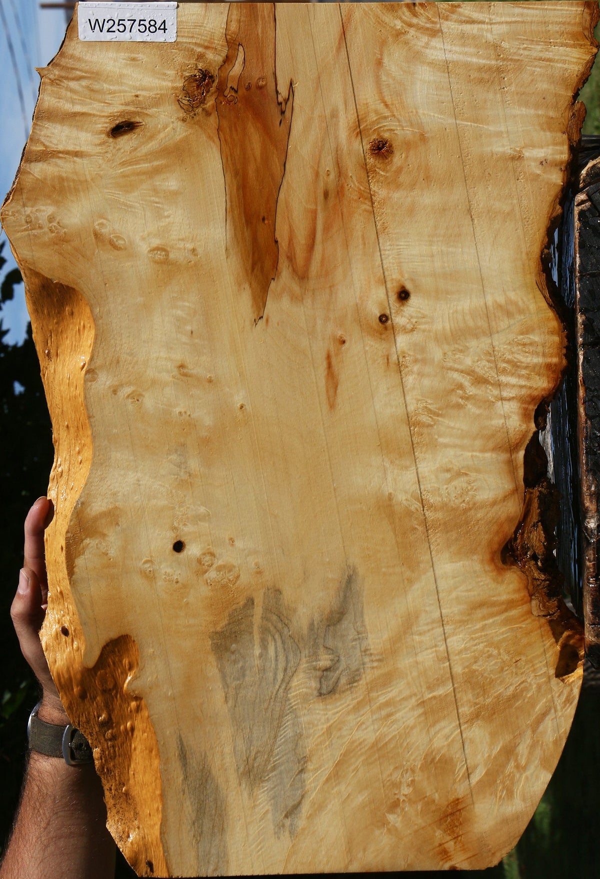 Extra Fancy Box Elder Live Edge Lumber