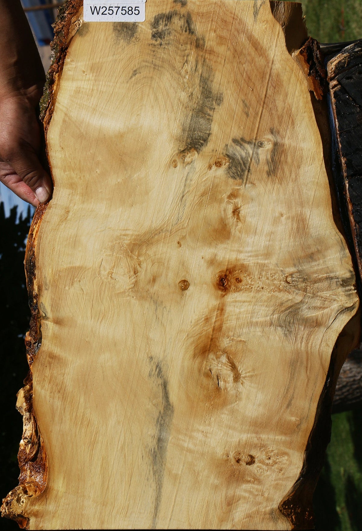 Figured Rustic Box Elder Live Edge Lumber