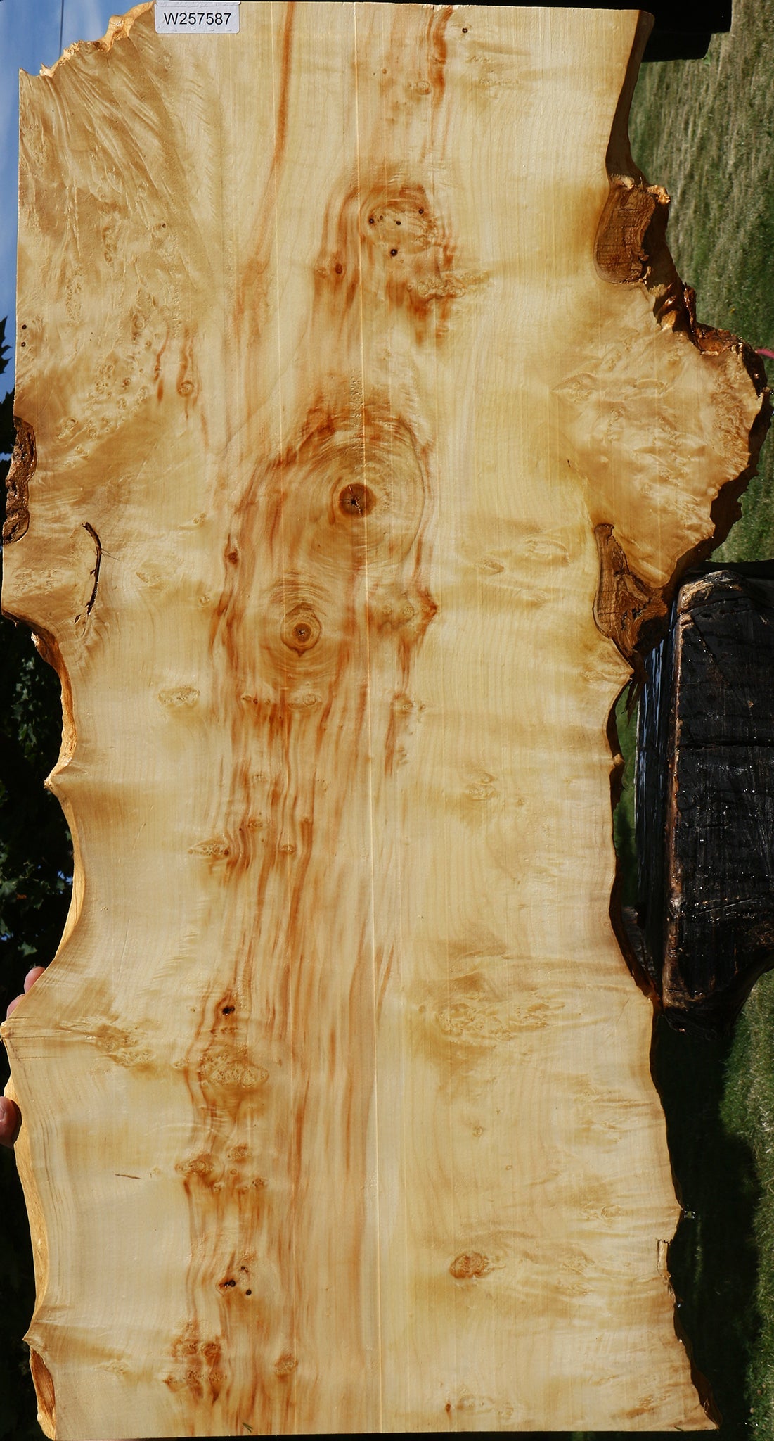 Extra Fancy Box Elder Live Edge Lumber
