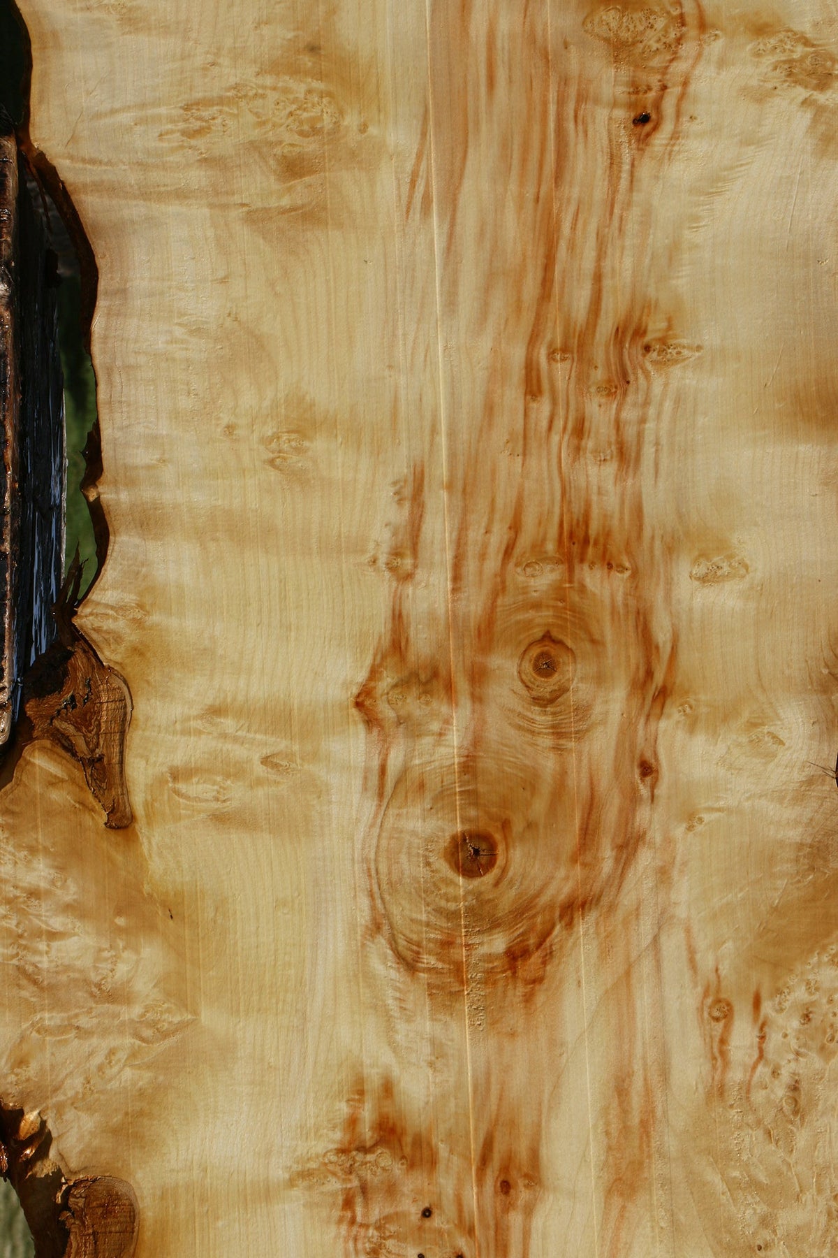 Extra Fancy Box Elder Live Edge Lumber