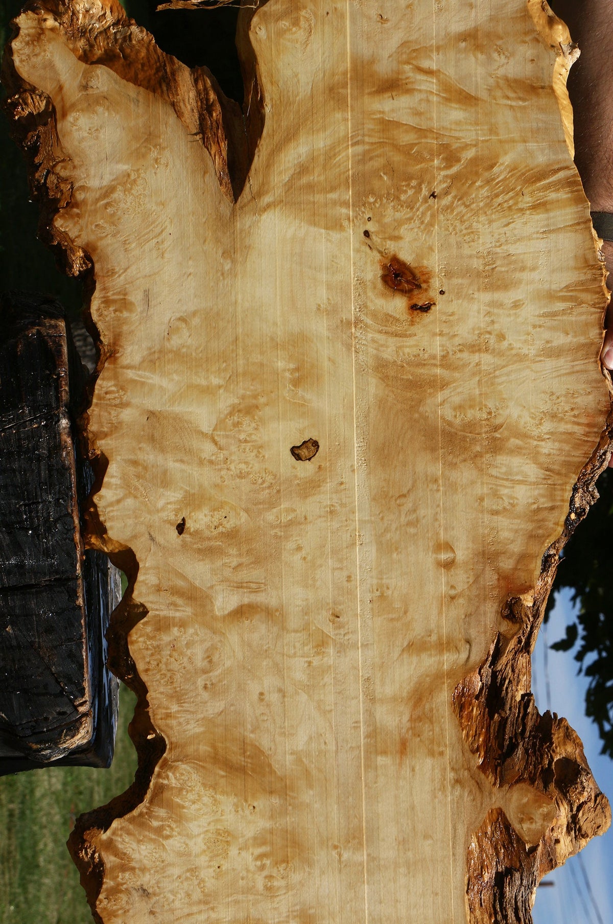 Extra Fancy Box Elder Burl Live Edge Micro Lumber