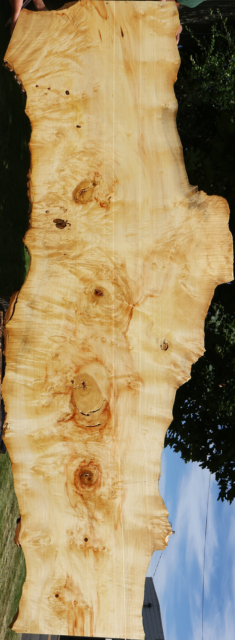 Extra Fancy Rustic Box Elder Live Edge Lumber (Free Shipping Excluded)