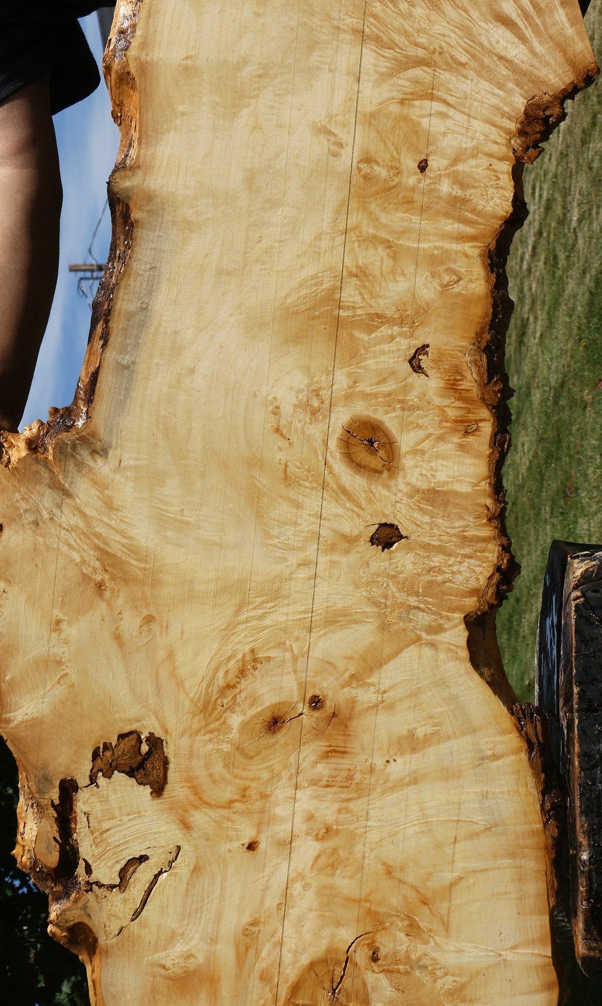 Extra Fancy Rustic Box Elder Live Edge Lumber (Free Shipping Excluded)