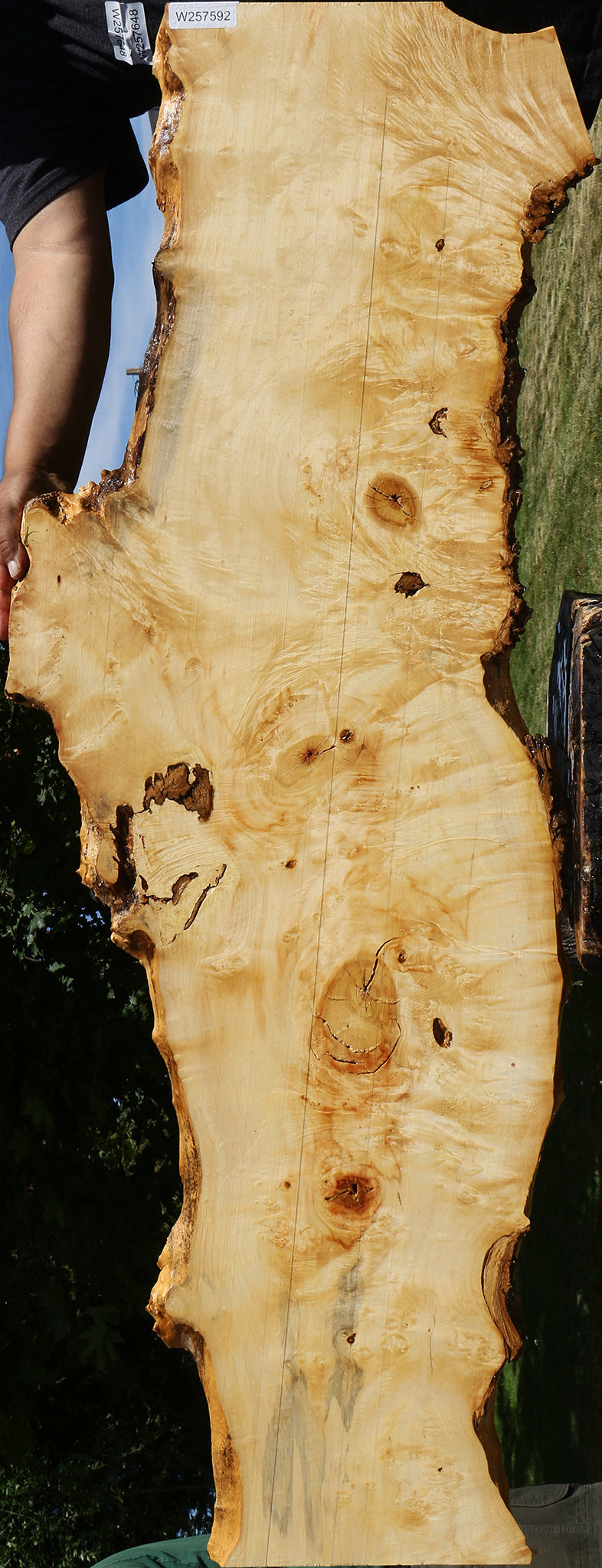 Extra Fancy Rustic Box Elder Live Edge Lumber (Free Shipping Excluded)