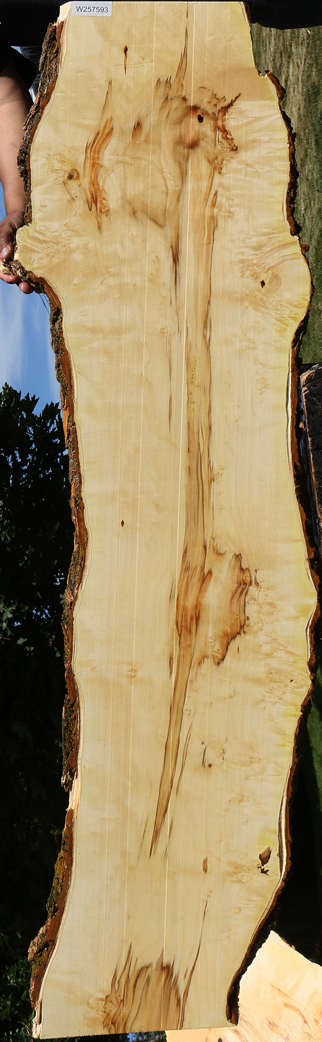 Extra Fancy Box Elder Live Edge Lumber (Free Shipping Excluded)