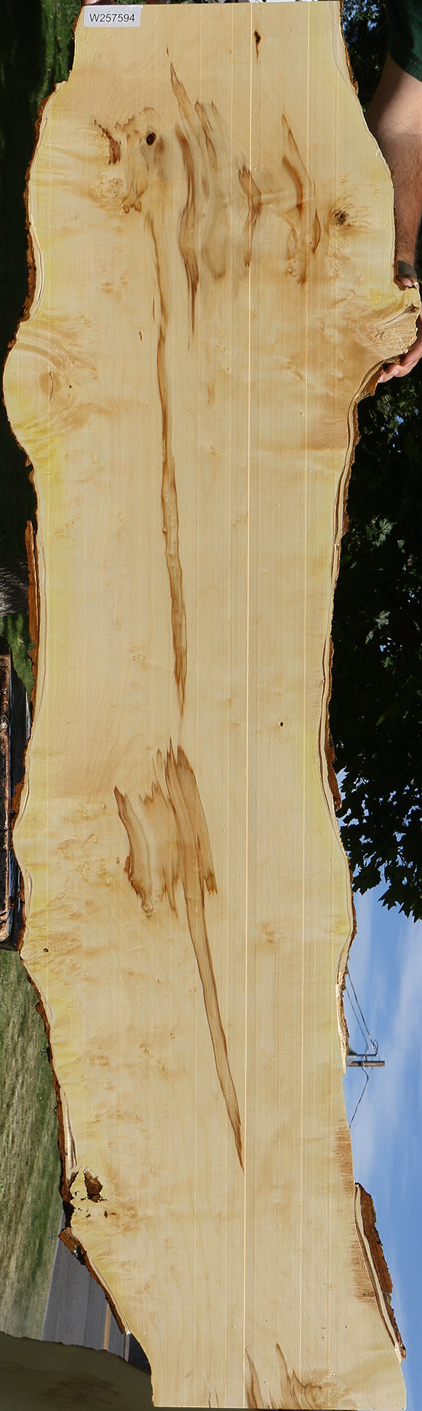 Figured Box Elder Live Edge Lumber (Free Shipping Excluded)