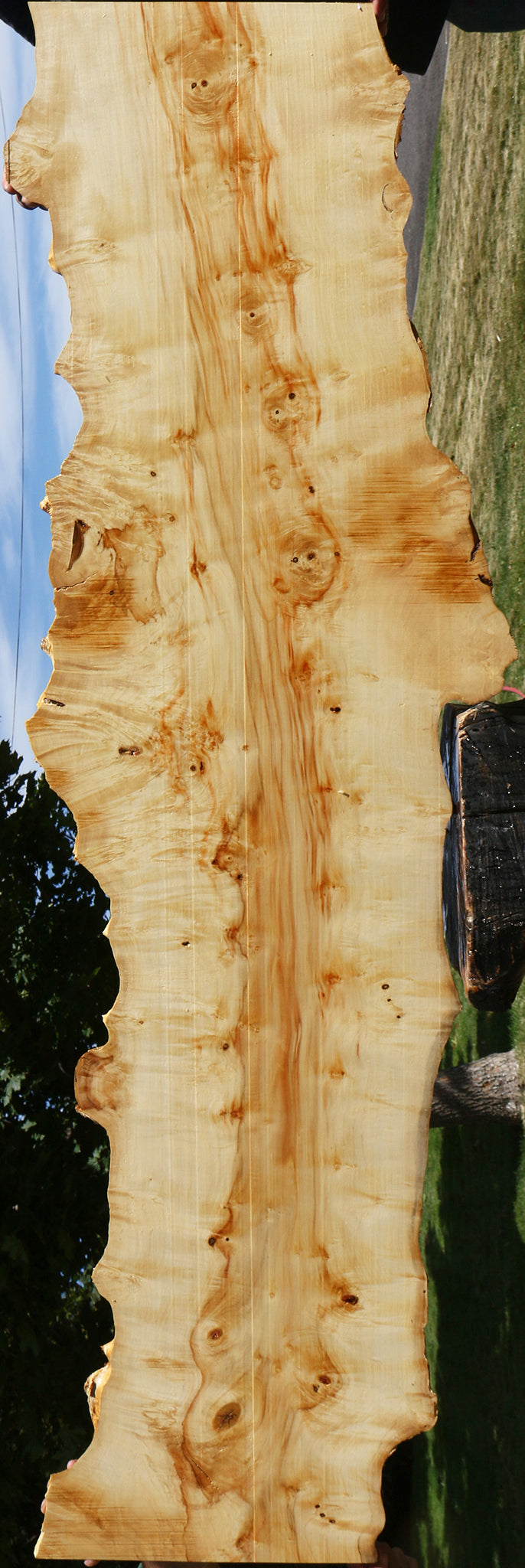 Extra Fancy Box Elder Live Edge Lumber (Free Shipping Excluded)