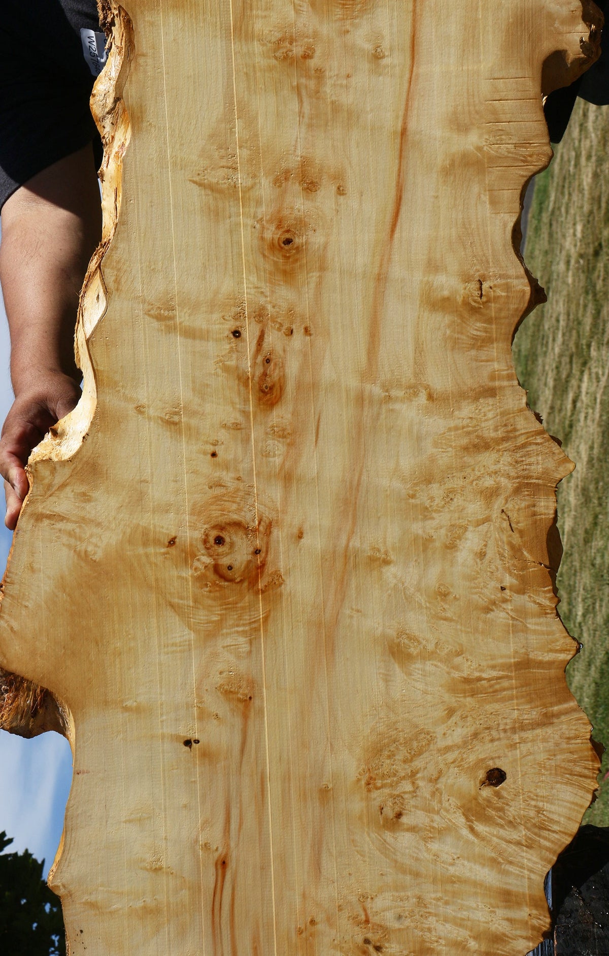 Extra Fancy Box Elder Live Edge Lumber (Free Shipping Excluded)