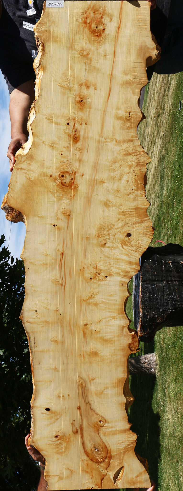 Extra Fancy Box Elder Live Edge Lumber (Free Shipping Excluded)
